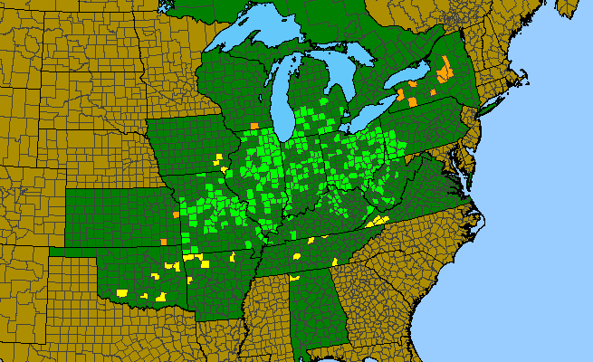 The range of Collinsia verna